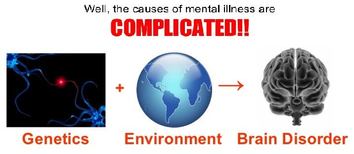 Diagram showing the cause of mental retardation as being complicated - genetics, environment, brain disorder