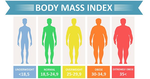 Body mass index diagram showing Obesity levels - underweight, normal, overweight, obese, extremely obese
