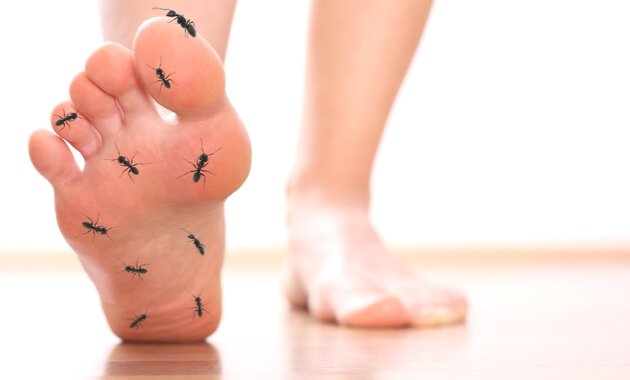 Picture of two feet - with one covered in ants to show how tingling feet must feel like.